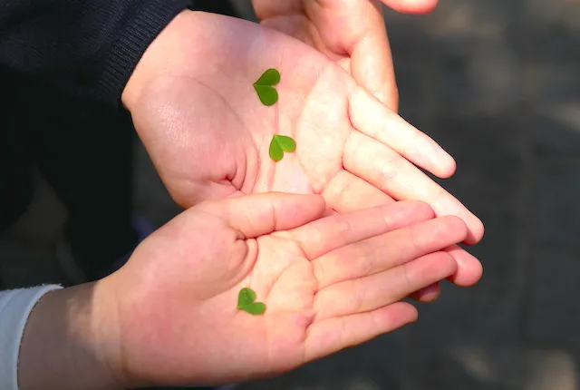 私が離婚を決意した最後のきっかけと理由