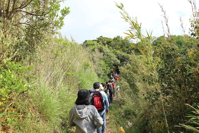 とってもお得な南伊豆臨海学園。シングルマザーのゴールデンウィーク子連れ旅行。
