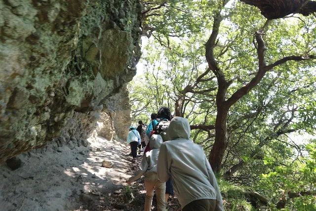 とってもお得な南伊豆臨海学園。シングルマザーのゴールデンウィーク子連れ旅行。