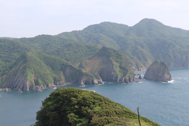 とってもお得な南伊豆臨海学園。シングルマザーのゴールデンウィーク子連れ旅行。