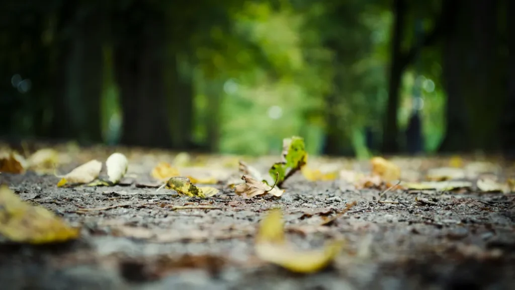 【体験談】中学生の子の登校しぶり。原因は友人関係だったAさん親子の対応。